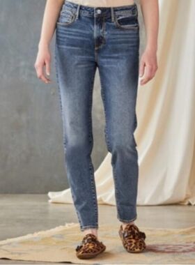 Everlane The Cheeky Jean Medium Wash Size 29